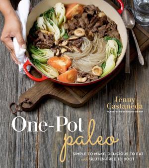 Cover of the book One-Pot Paleo by Adrienne Vendetti, Stephanie Vendetti