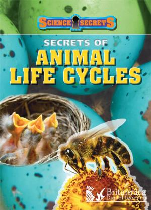 Cover of the book Secrets of Animal Life Cycles by Dr. Jean Feldman and Dr. Holly Karapetkova