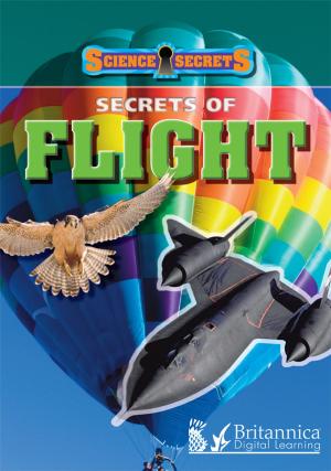Cover of the book Secrets of Flight by Holly Karapetkova