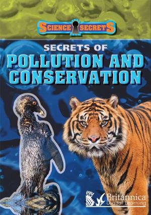 Cover of the book Secrets of Pollution and Conservation by Amy S. Hansen