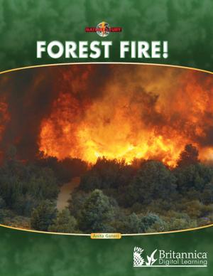 Cover of the book Forest Fire! by Luana Mitten