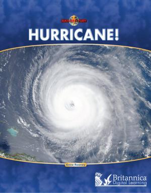Cover of the book Hurricane! by David and Patricia Armentrout