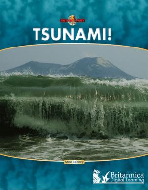 Book cover of Tsunami!