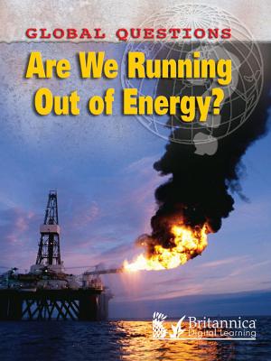 Cover of the book Are We Running Out of Energy? by Lynn Stone