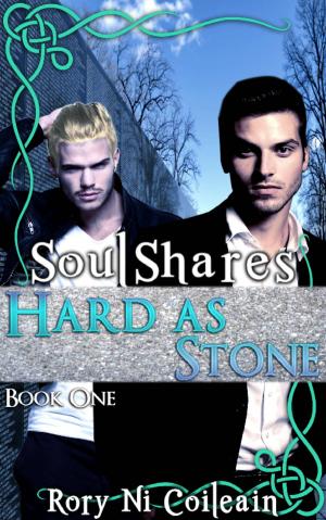 Cover of the book Hard As Stone by Dann Darwin