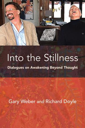 Cover of the book Into the Stillness by Kelly G. Wilson, PhD, Troy DuFrene