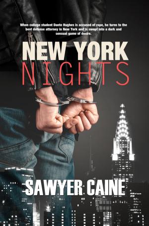bigCover of the book New York Nights by 