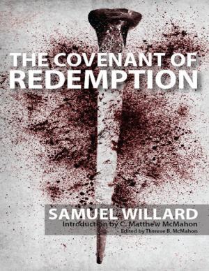 bigCover of the book The Covenant of Redemption by 