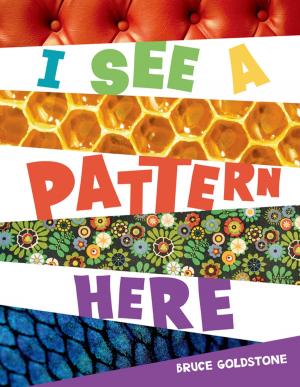 Cover of the book I See a Pattern Here by Murray Sperber