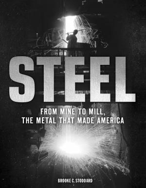 Cover of the book Steel by Dan Linehan