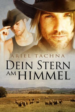 Cover of the book Dein Stern am Himmel by Merry Brennan