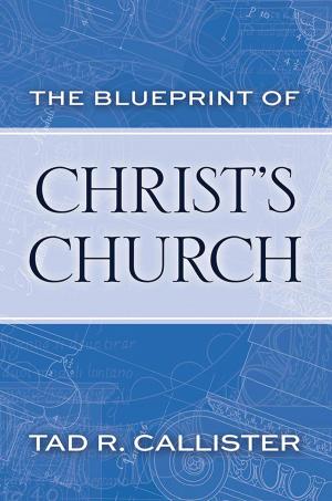 Cover of the book The Blueprint of Christ's Church by Clark L. Kidd; Kathryn H. Kidd