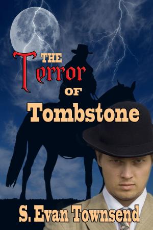 Cover of the book The Terror of Tombstone by G. R. Holton