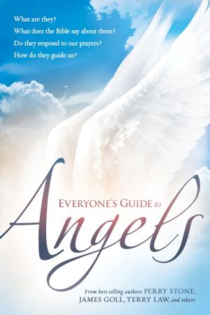 Book cover of Everyone's Guide to Angels