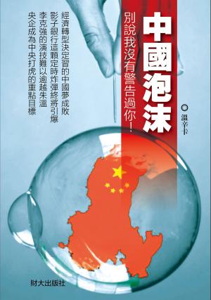 Cover of the book 《中國泡沫》 by Professor P. V. Ntintili