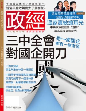 Cover of the book 《政經》第3期 by Sandi Borgens