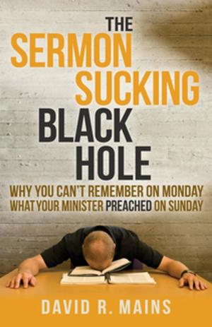 bigCover of the book The Sermon Sucking Black Hole by 