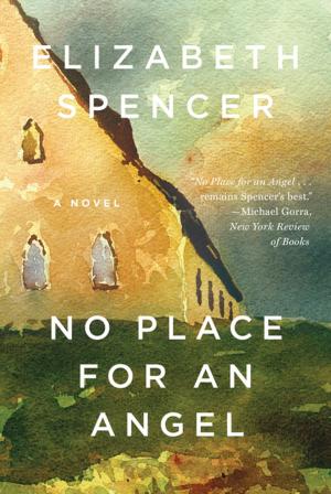 Cover of the book No Place for an Angel: A Novel by Harvey Sachs