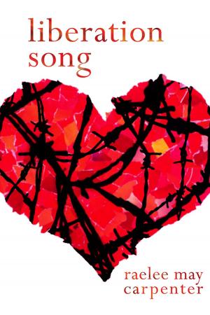 Cover of the book Liberation Song by Ethan D. Bryan
