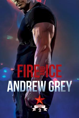 Cover of the book Fire and Ice by Zahra Owens