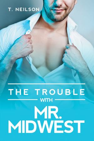 Cover of the book The Trouble With Mr. Midwest by Ariel Tachna