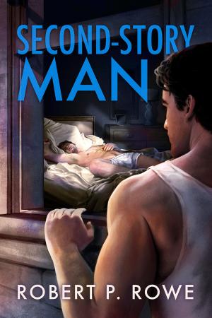 bigCover of the book Second-Story Man by 