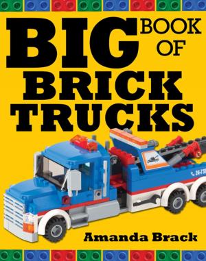 Cover of the book Big Book of Brick Trucks by Natasha Sinel