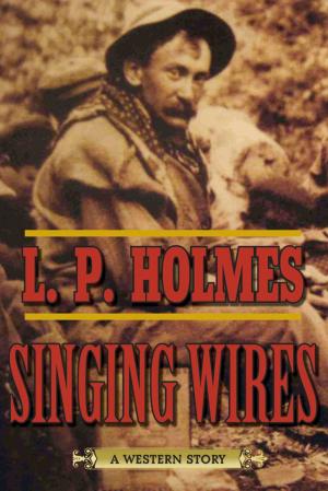 Cover of the book Singing Wires by Hannah Kaminsky