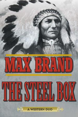 Cover of the book The Steel Box by Jimmy Dymott