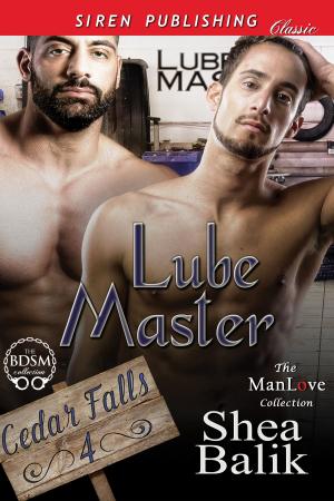 Cover of the book Lube Master by Andrew Jericho