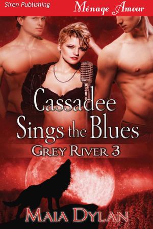 Cover of the book Cassadee Sings the Blues by Christelle Mirin