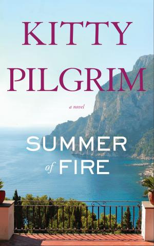 Cover of the book Summer of Fire by Peter van Stralen