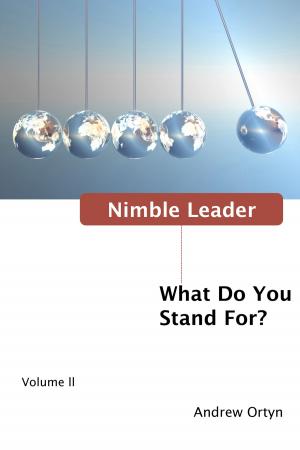 Cover of the book Nimble Leader Volume II by Rabbi Steven Stark Lowenstein