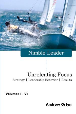Book cover of Nimble Leader Volumes I - VI