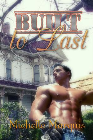 Cover of the book Built to Last by Amber Anthony