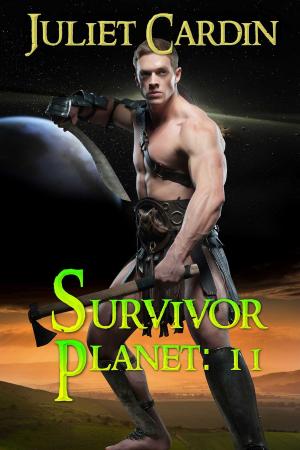 bigCover of the book Survivor Planet II by 