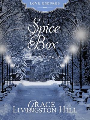 Book cover of Spice Box