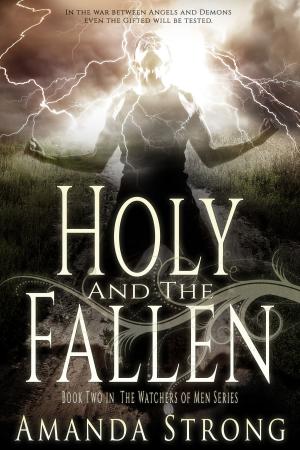 Cover of the book Holy and the Fallen by Sandy Goldsworthy