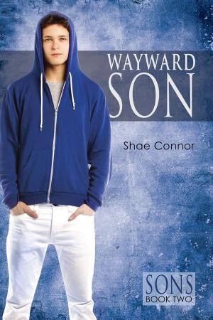 Cover of the book Wayward Son by B.G. Thomas