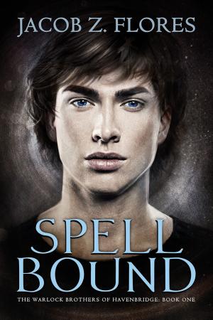 Cover of the book Spell Bound by Mari Donne