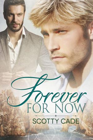 Cover of the book Forever For Now by KC Kendricks