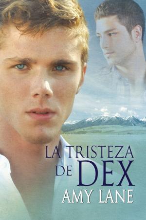 Cover of the book La tristeza de Dex by M.J. O'Shea