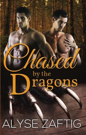 Book cover of Chased by the Dragons