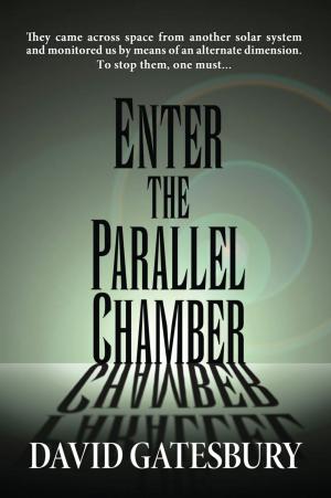 Cover of the book ENTER THE PARALLEL CHAMBER by D.E. Tingle