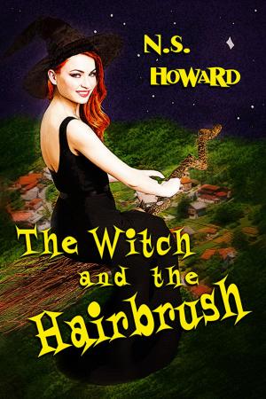Book cover of The Witch and the Hairbrush