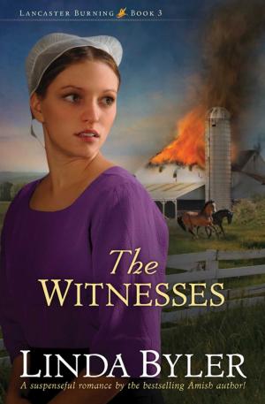Cover of the book The Witnesses by David Karp