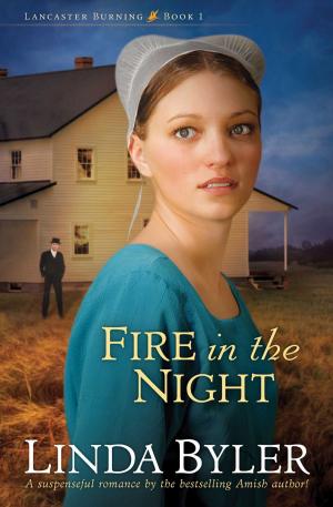 Cover of the book Fire in the Night by Natalie Wise