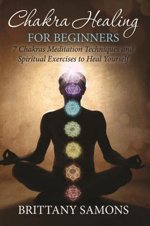 Cover of the book Chakra Healing For Beginners by Dissected Lives