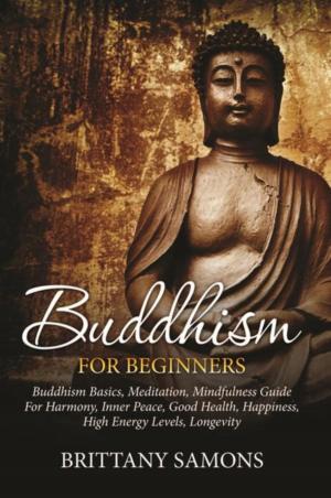 Cover of the book Buddhism For Beginners by Joseph Joyner