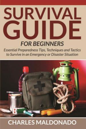 Cover of the book Survival Guide For Beginners by Joyner Joseph